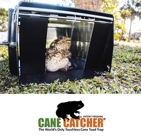 cane-catcher - FCAP